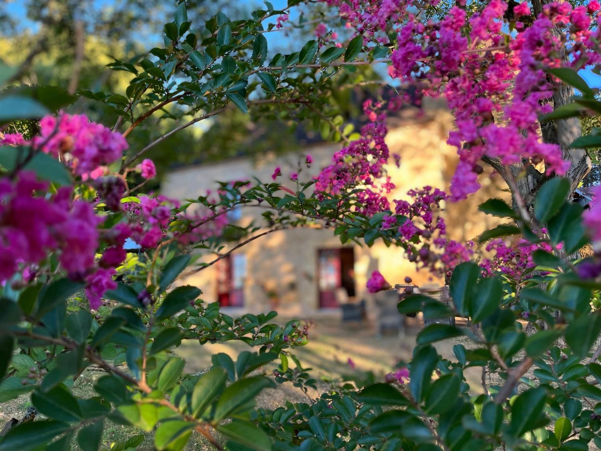 Roquebrune Saint-Alvere Bagian luar foto